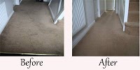 Lush Carpet and Upholstery Cleaning 355257 Image 8